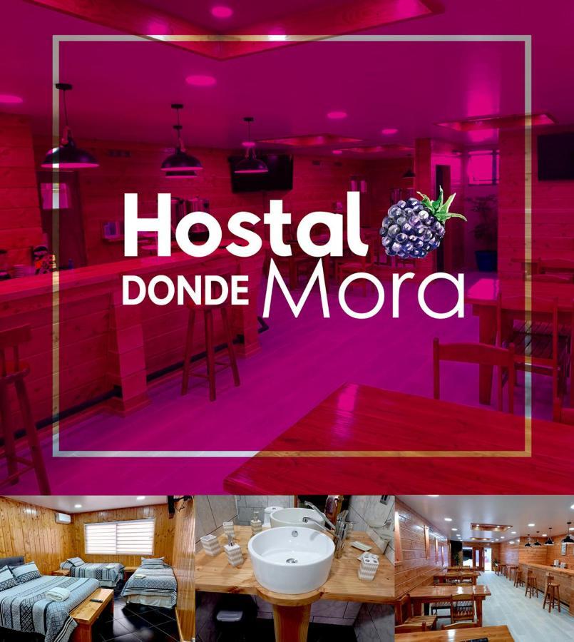 Hostal Donde Mora Villarrica Exteriör bild